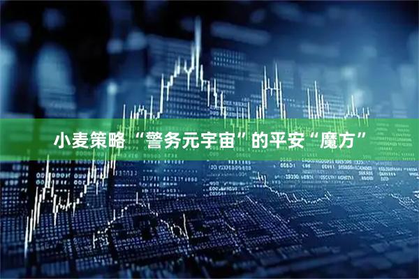 小麦策略 “警务元宇宙”的平安“魔方”