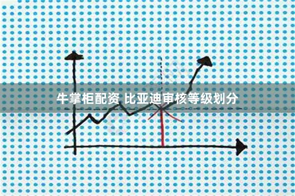 牛掌柜配资 比亚迪审核等级划分