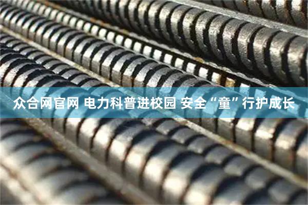 众合网官网 电力科普进校园 安全“童”行护成长