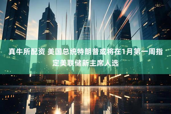 真牛所配资 美国总统特朗普或将在1月第一周指定美联储新主席人选