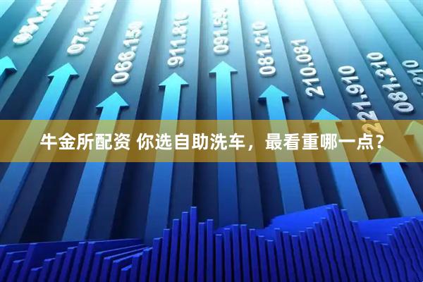 牛金所配资 你选自助洗车，最看重哪一点？